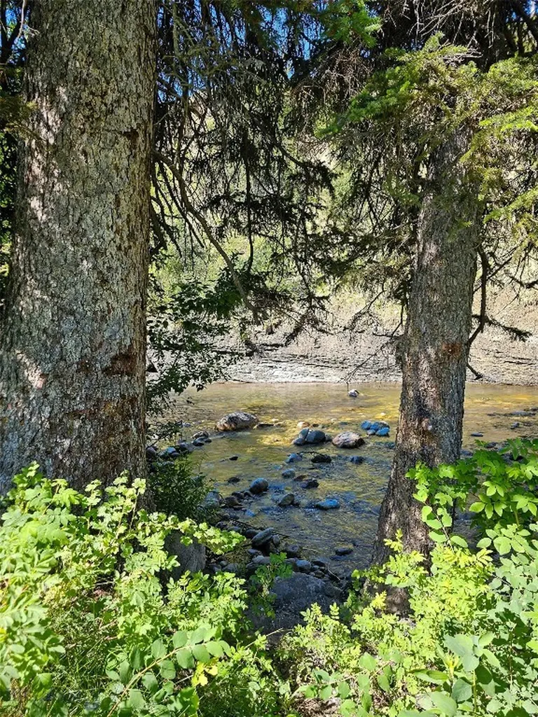 212 E Boulder Road Mcleod MT 59052