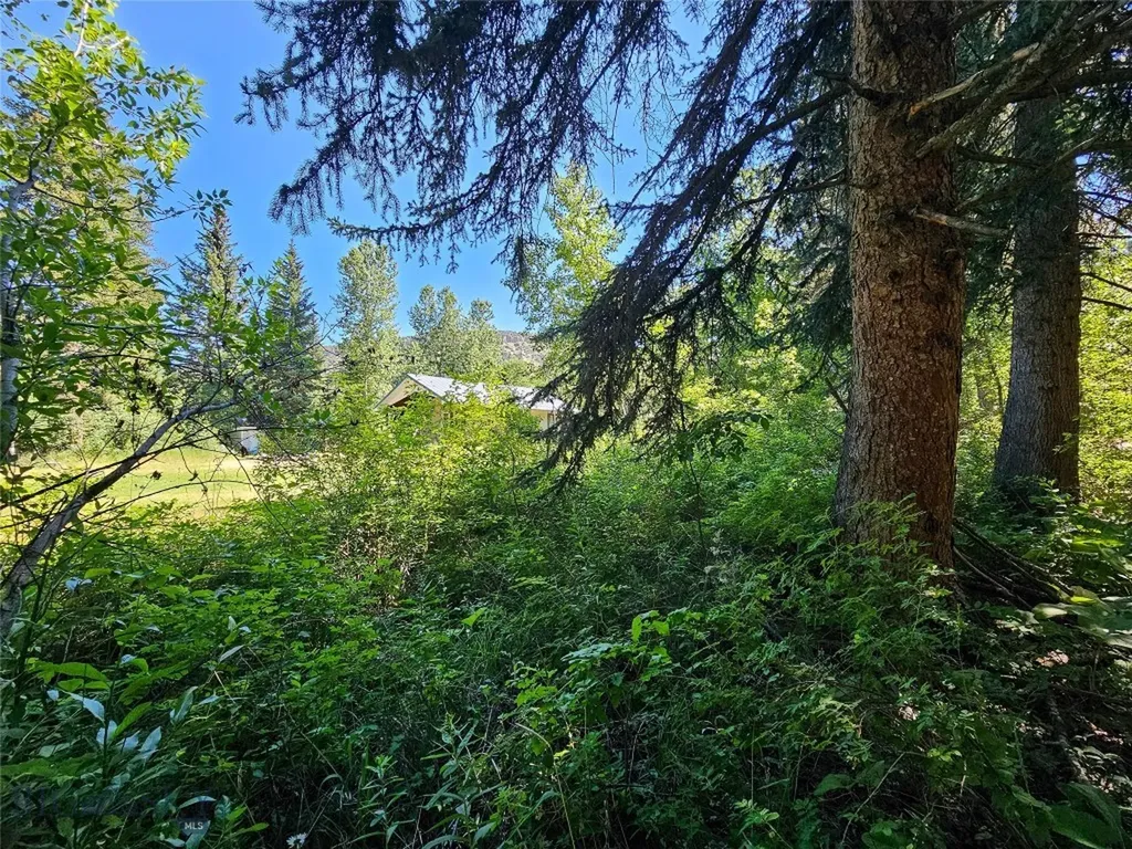 212 E Boulder Road Mcleod MT 59052