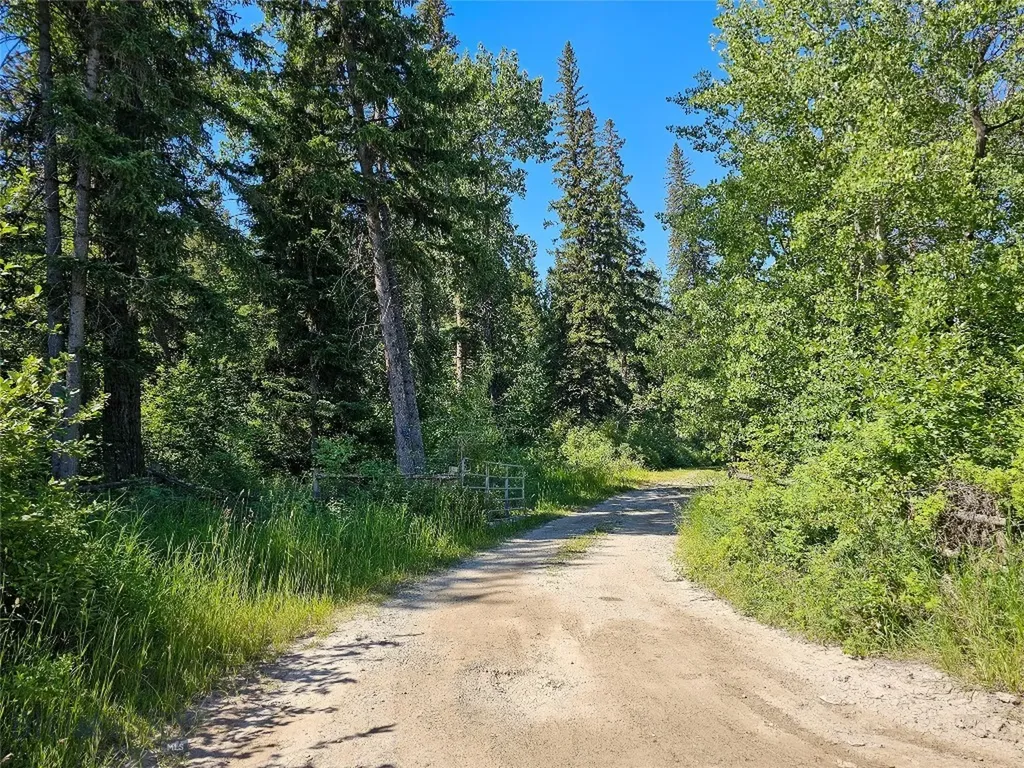 212 E Boulder Road Mcleod MT 59052