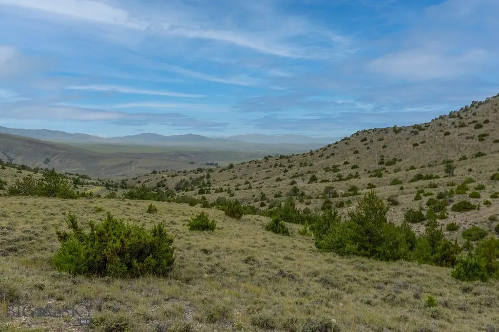 Nhn Milligan Canyon Road Cardwell MT 59721