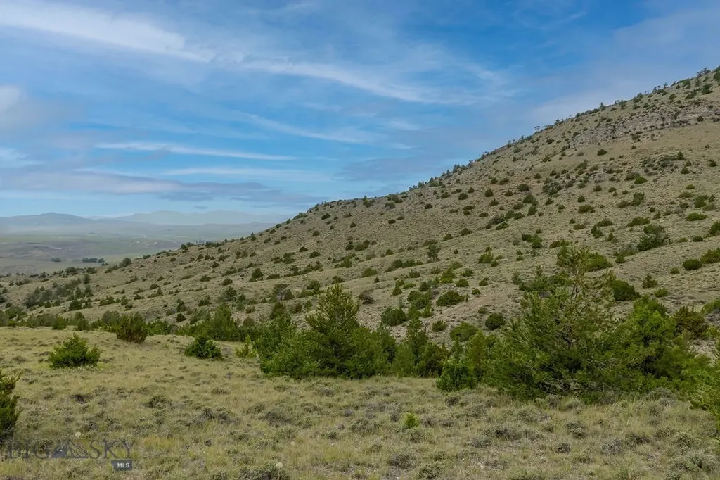 Nhn Milligan Canyon Road Cardwell MT 59721