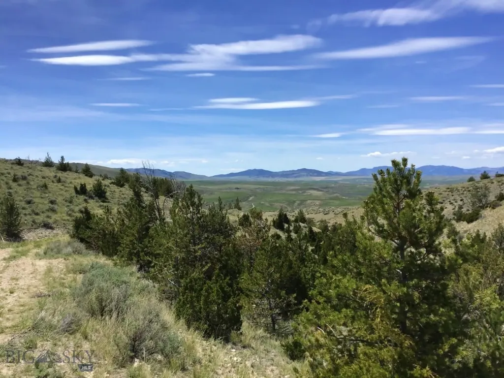 Nhn Milligan Canyon Road Cardwell MT 59721