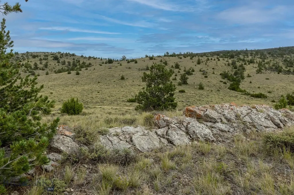Nhn Milligan Canyon Road Cardwell MT 59721