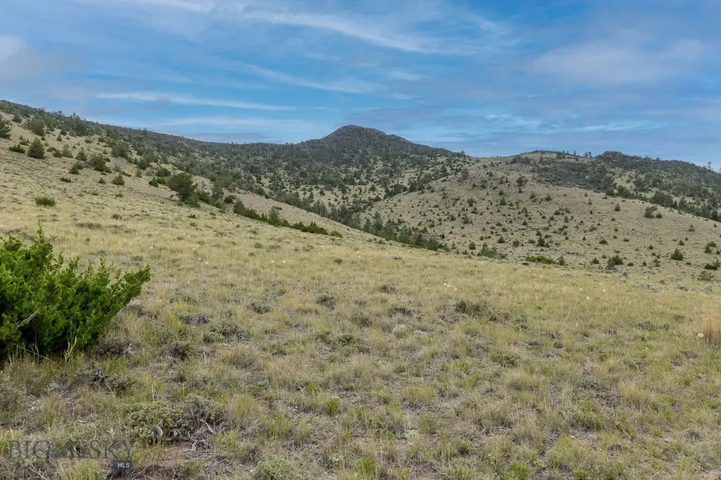 Nhn Milligan Canyon Road Cardwell MT 59721