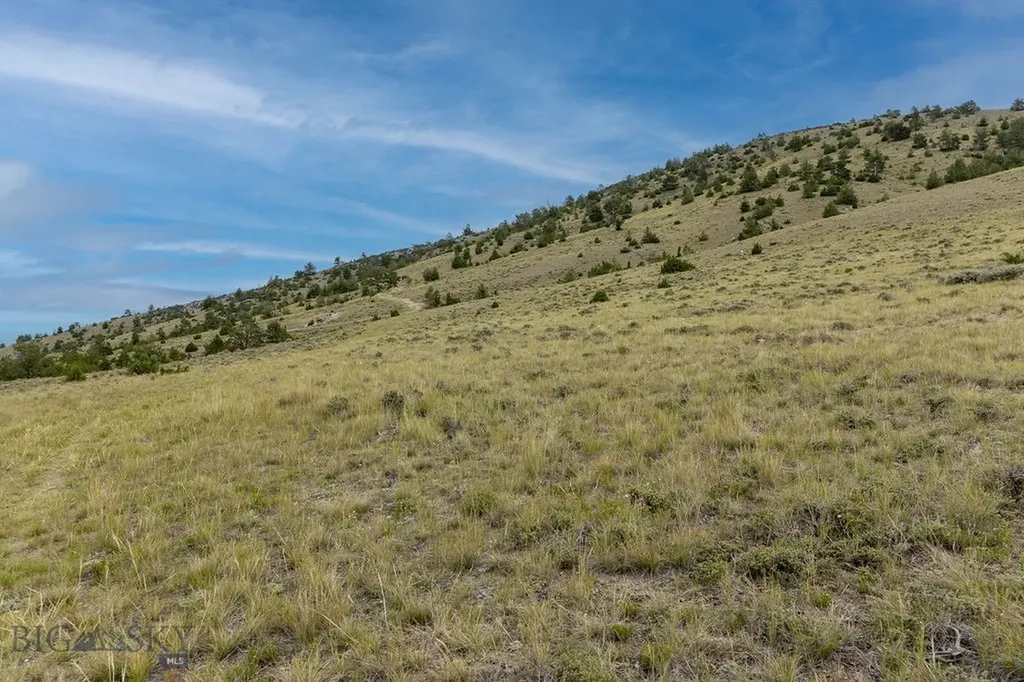 Nhn Milligan Canyon Road Cardwell MT 59721