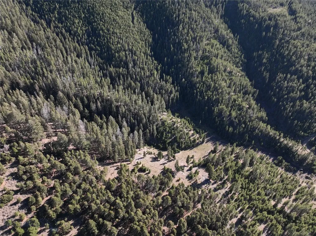 Lot 7 Ruby Mine Road Butte MT 59701