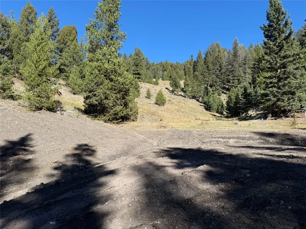 Lot 7 Ruby Mine Road Butte MT 59701