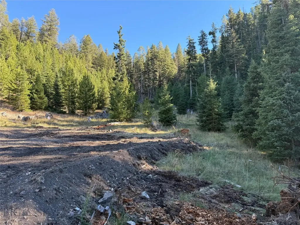 Lot 7 Ruby Mine Road Butte MT 59701