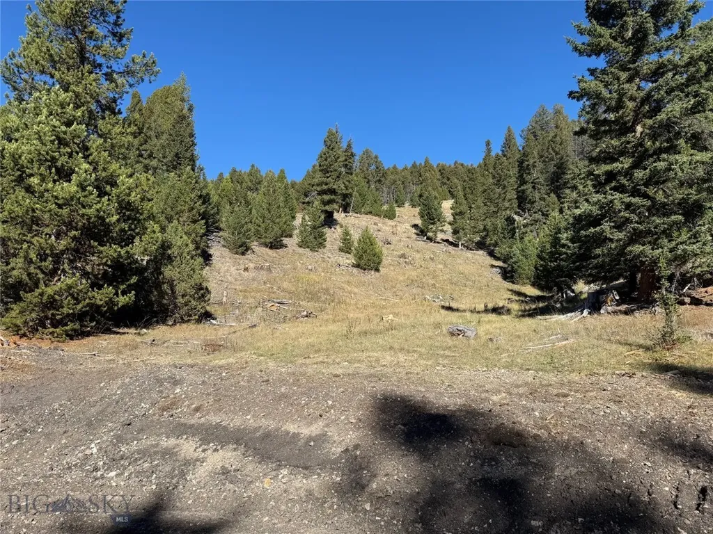 Lot 7 Ruby Mine Road Butte MT 59701