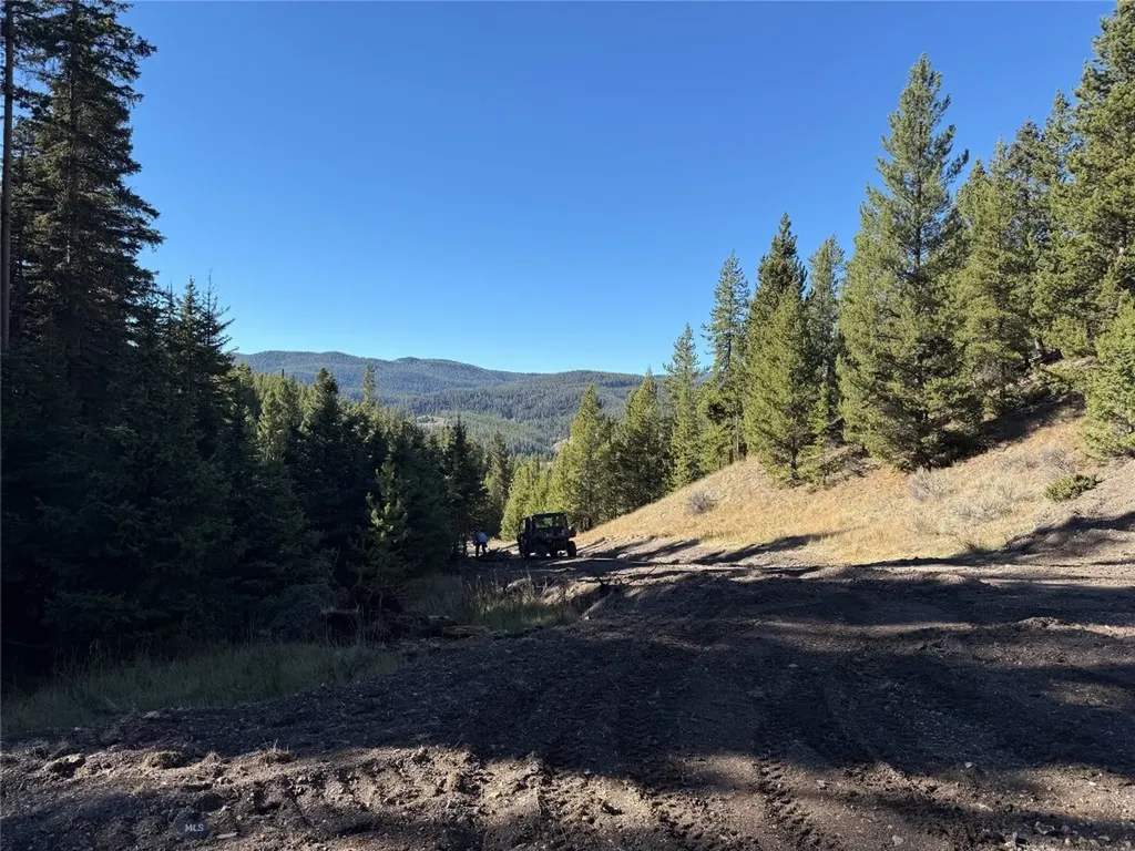 Lot 7 Ruby Mine Road Butte MT 59701