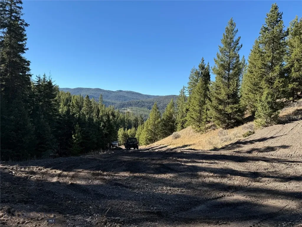 Lot 7 Ruby Mine Road Butte MT 59701