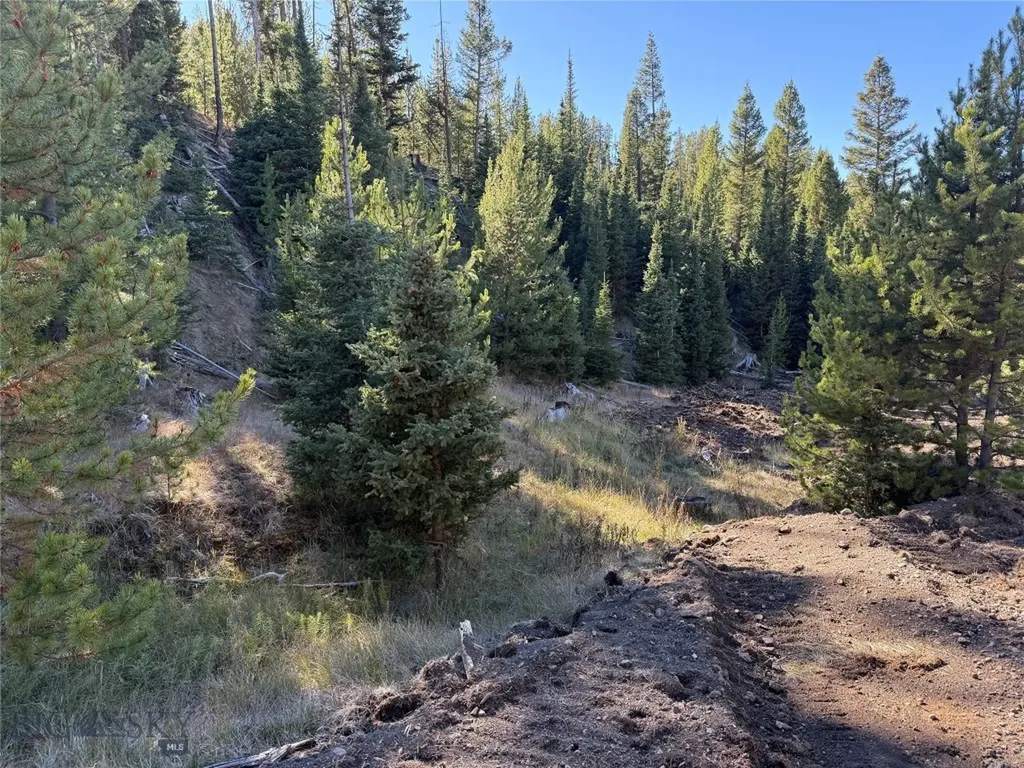 Lot 7 Ruby Mine Road Butte MT 59701