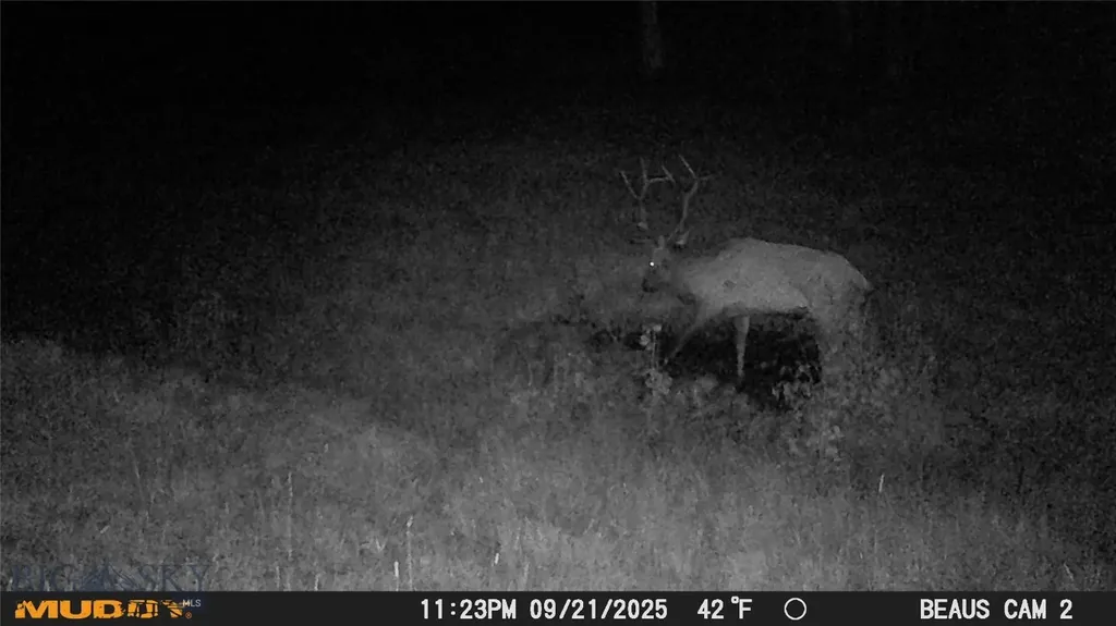Lot 7 Ruby Mine Road Butte MT 59701