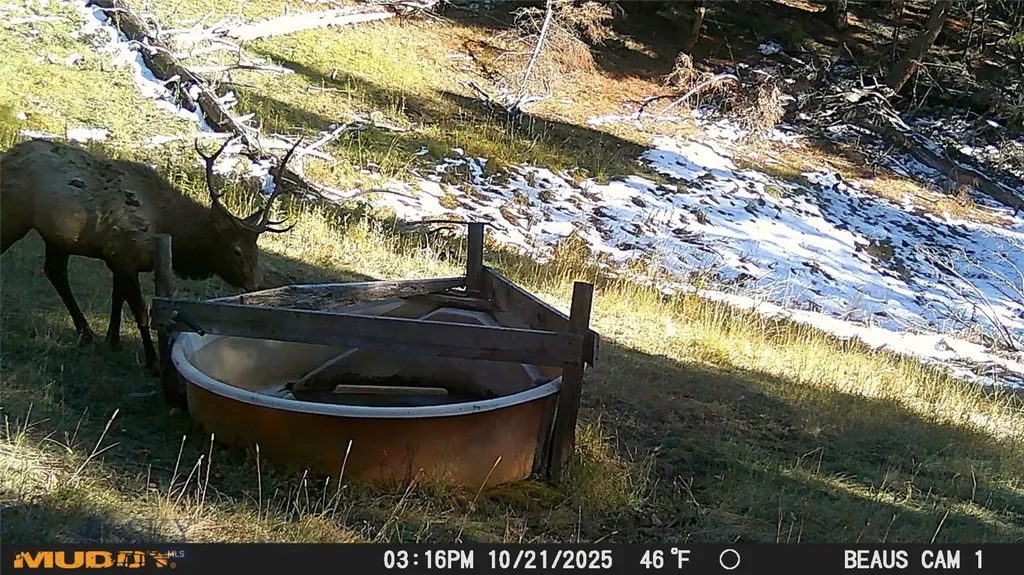 Lot 7 Ruby Mine Road Butte MT 59701