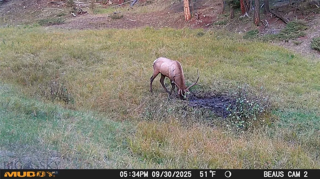 Lot 7 Ruby Mine Road Butte MT 59701