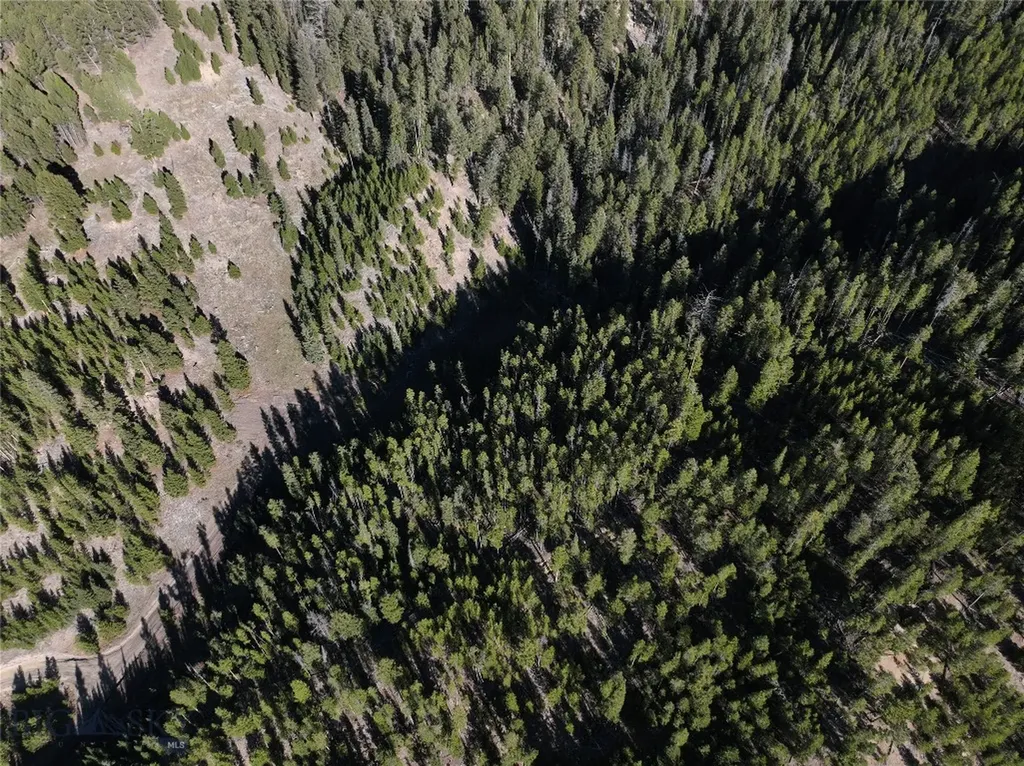 Lot 7 Ruby Mine Road Butte MT 59701