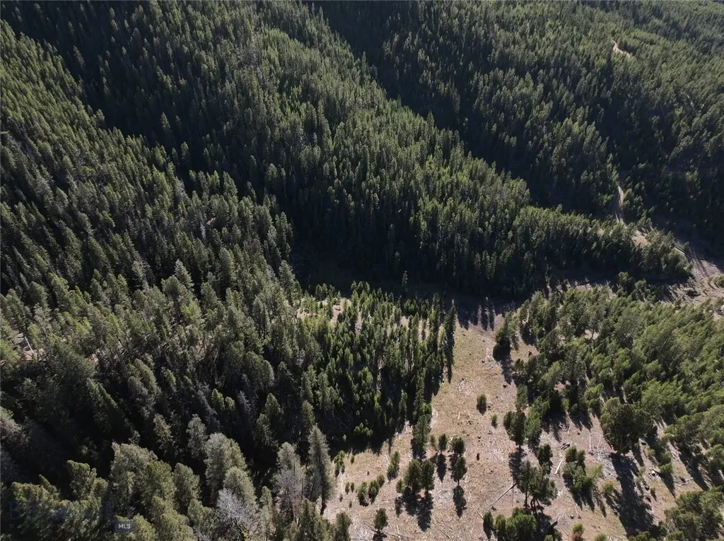 Lot 7 Ruby Mine Road Butte MT 59701