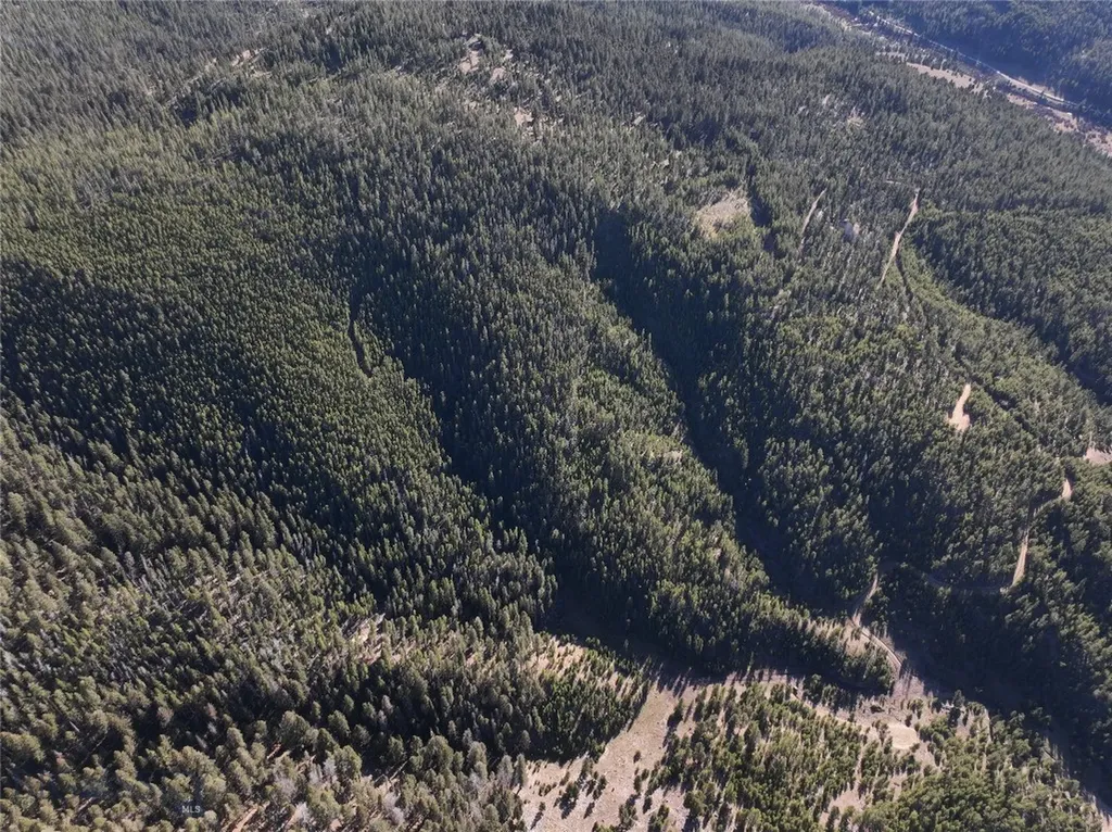 Lot 7 Ruby Mine Road Butte MT 59701