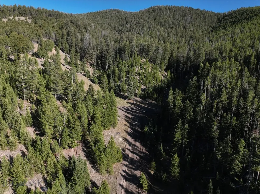 Lot 7 Ruby Mine Road Butte MT 59701