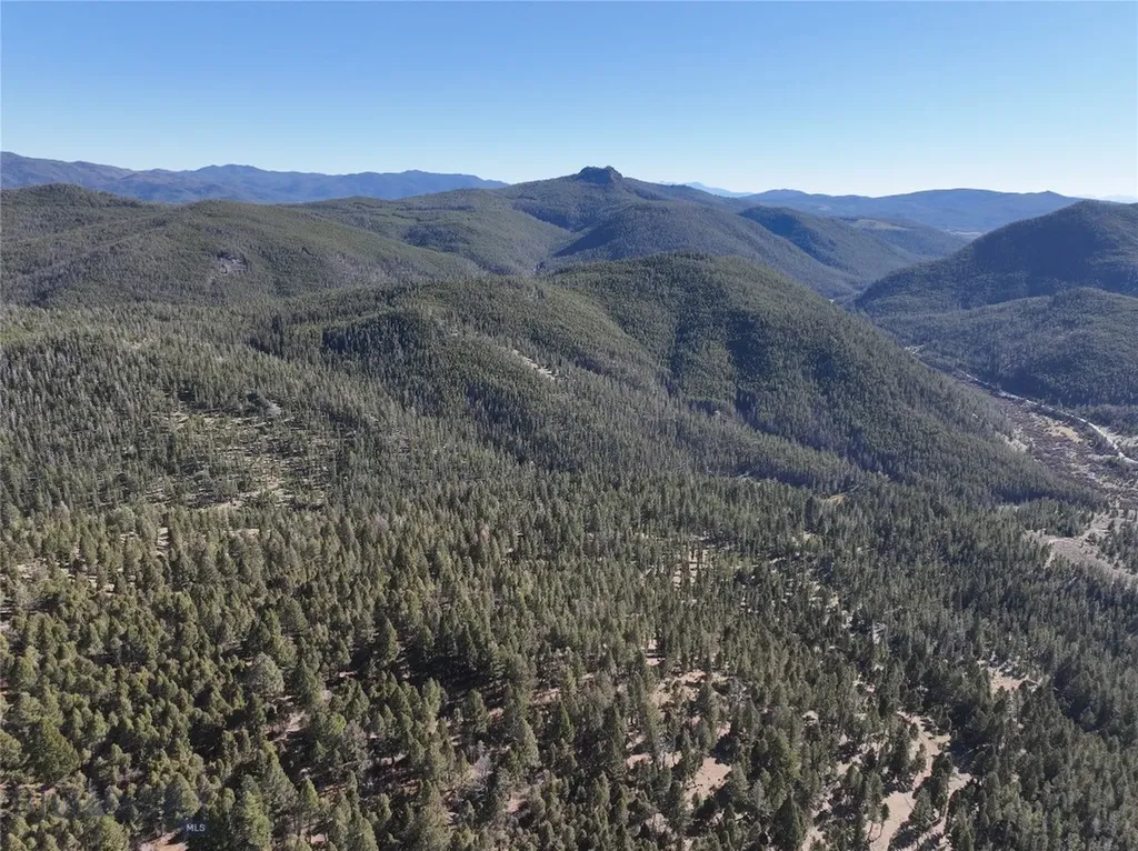 Lot 8 Ruby Mine Road Butte MT 59701