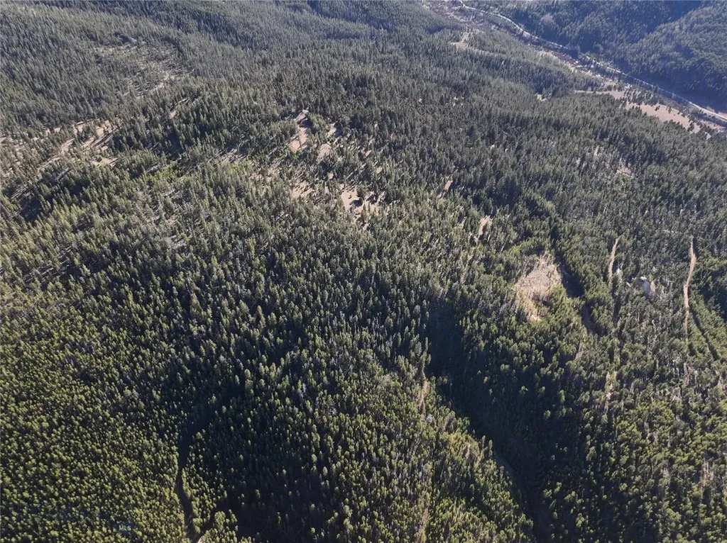 Lot 8 Ruby Mine Road Butte MT 59701