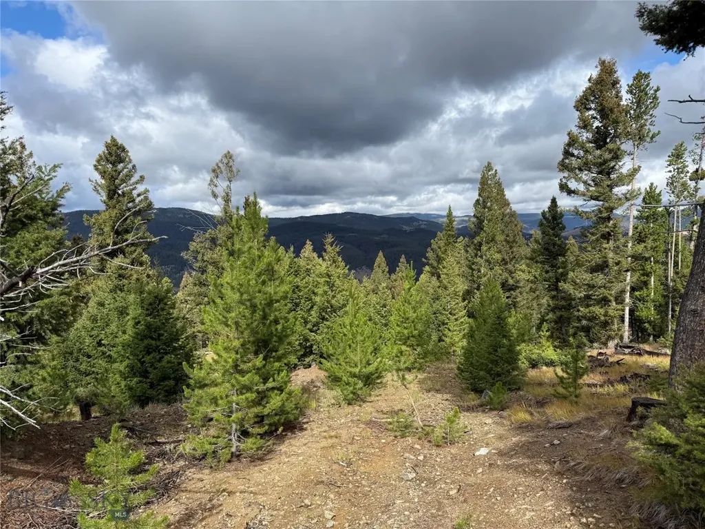 Lot 8 Ruby Mine Road Butte MT 59701