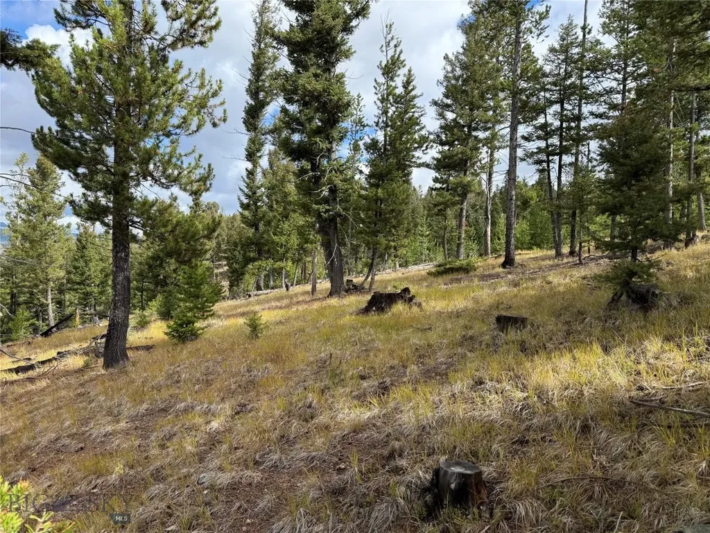 Lot 8 Ruby Mine Road Butte MT 59701