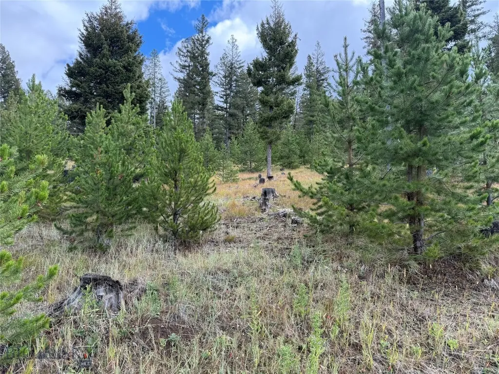 Lot 8 Ruby Mine Road Butte MT 59701