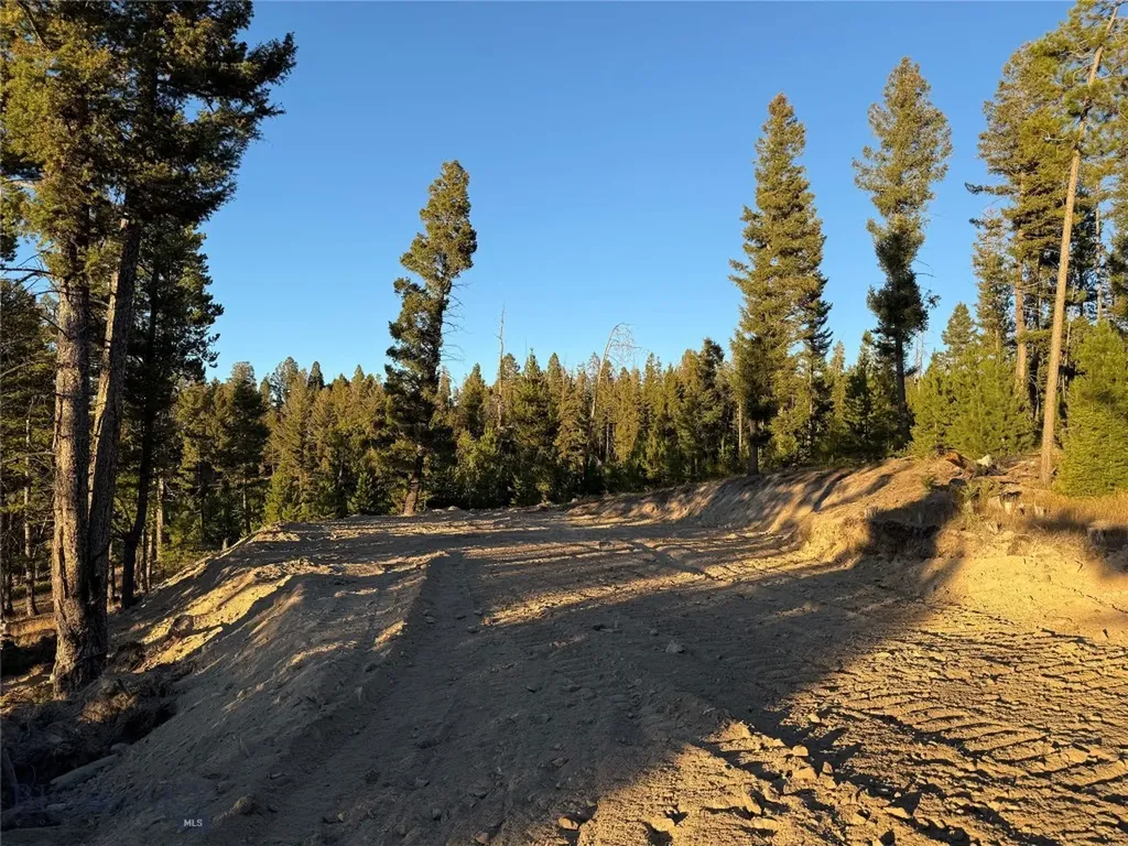 Lot 8 Ruby Mine Road Butte MT 59701
