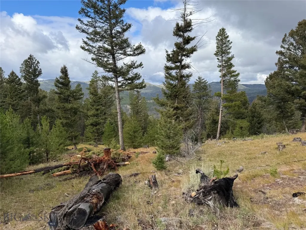 Lot 8 Ruby Mine Road Butte MT 59701