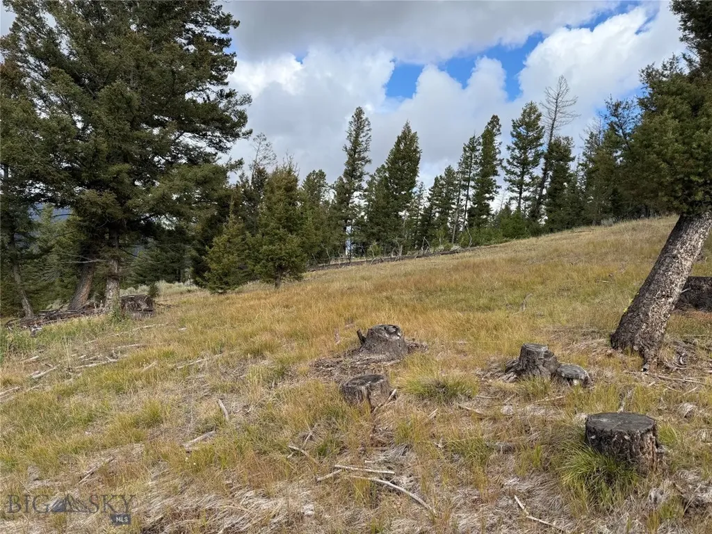 Lot 8 Ruby Mine Road Butte MT 59701