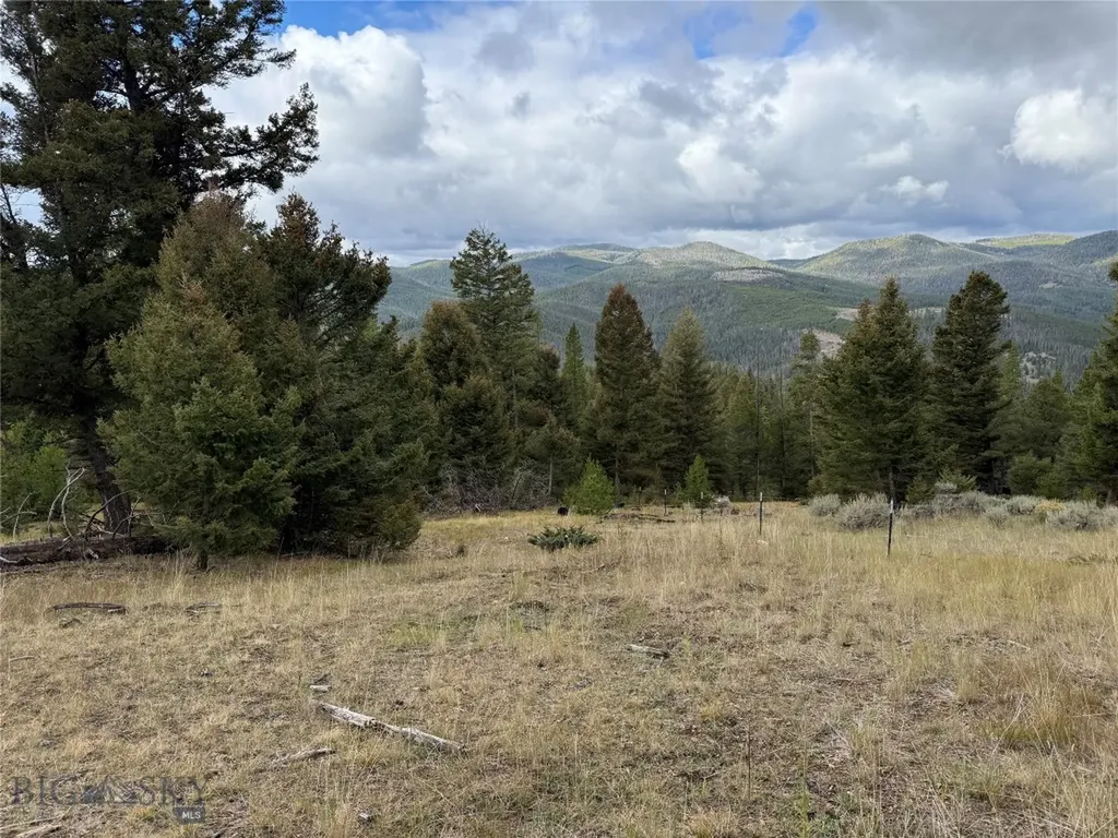 Lot 8 Ruby Mine Road Butte MT 59701
