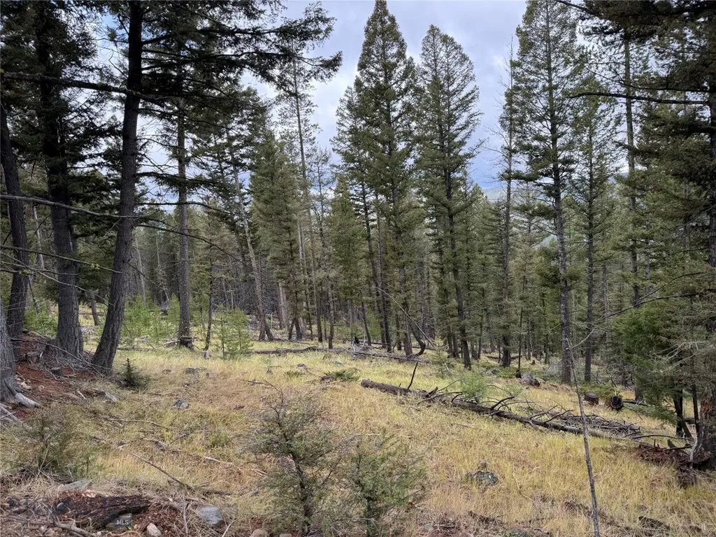 Lot 8 Ruby Mine Road Butte MT 59701