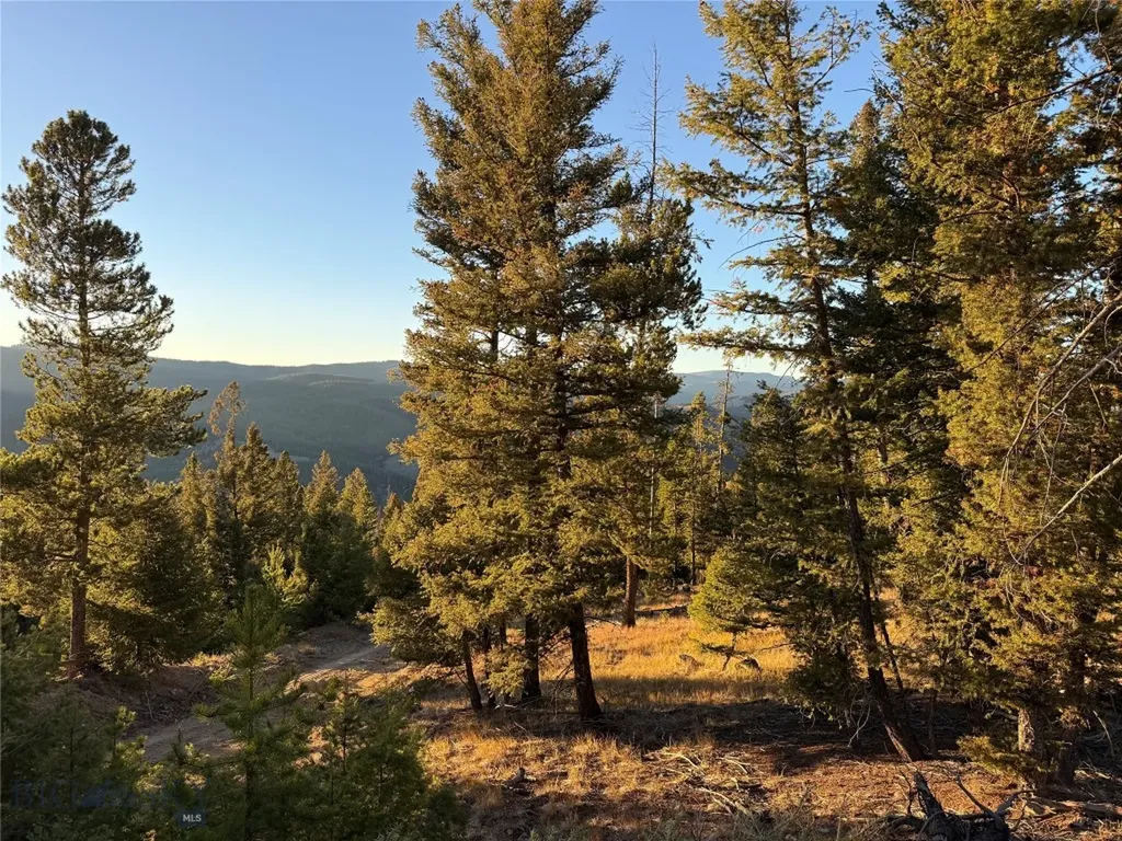 Lot 8 Ruby Mine Road Butte MT 59701