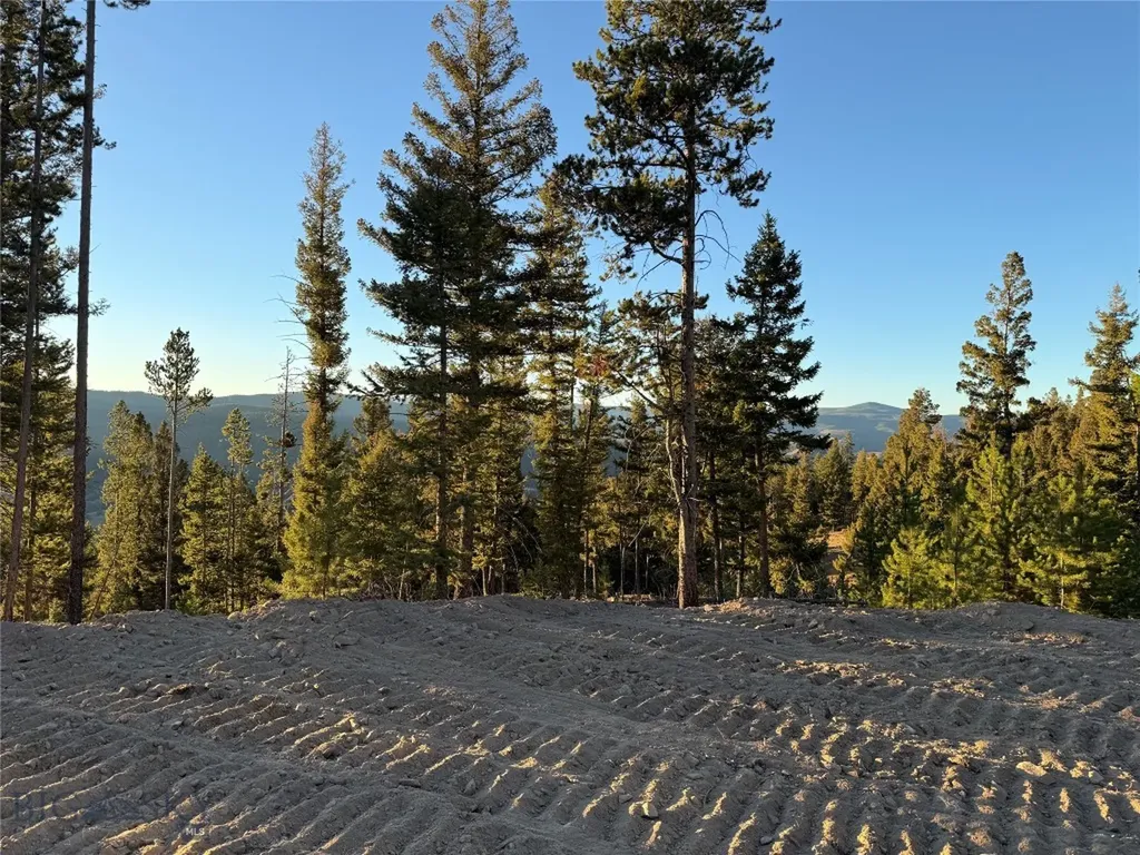 Lot 8 Ruby Mine Road Butte MT 59701
