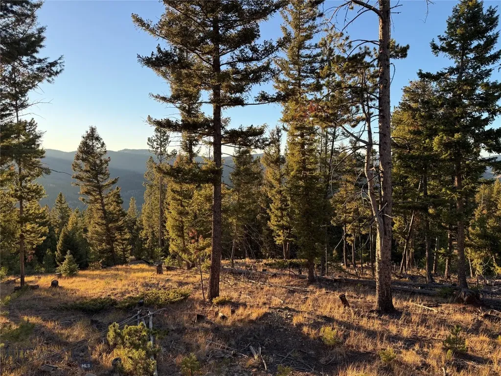 Lot 8 Ruby Mine Road Butte MT 59701