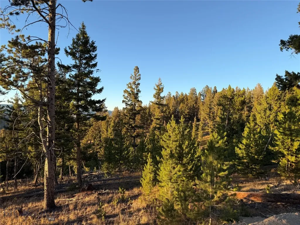 Lot 8 Ruby Mine Road Butte MT 59701