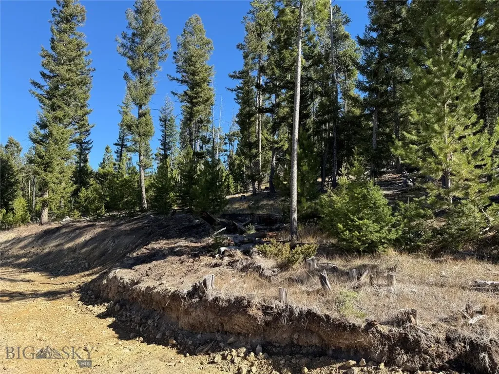 Lot 8 Ruby Mine Road Butte MT 59701