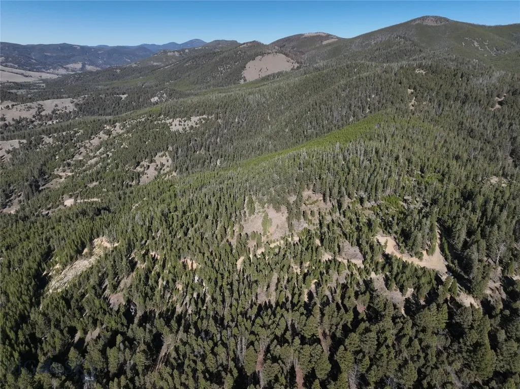 Lot 8 Ruby Mine Road Butte MT 59701