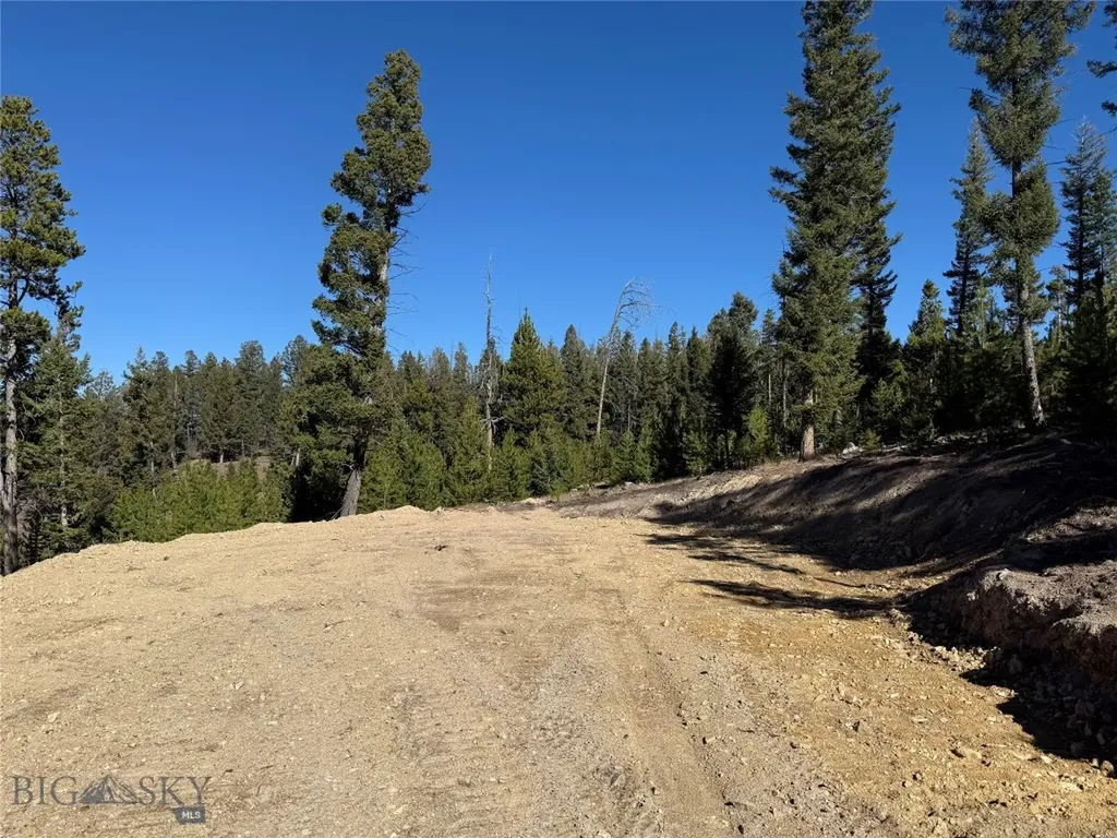 Lot 8 Ruby Mine Road Butte MT 59701