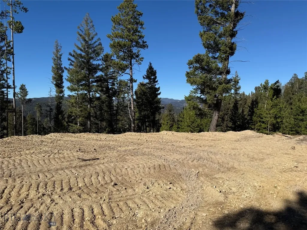 Lot 8 Ruby Mine Road Butte MT 59701