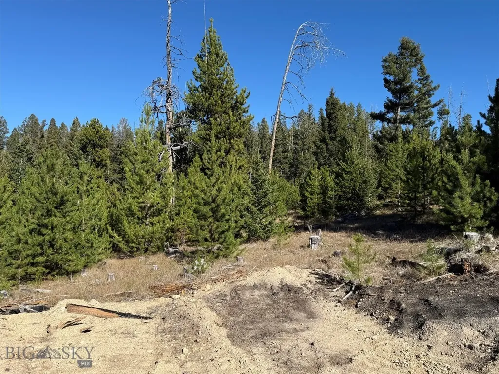 Lot 8 Ruby Mine Road Butte MT 59701