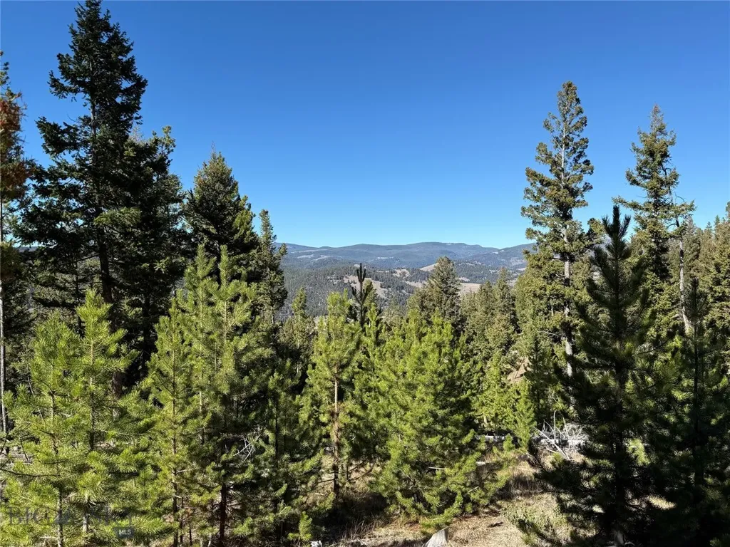 Lot 8 Ruby Mine Road Butte MT 59701