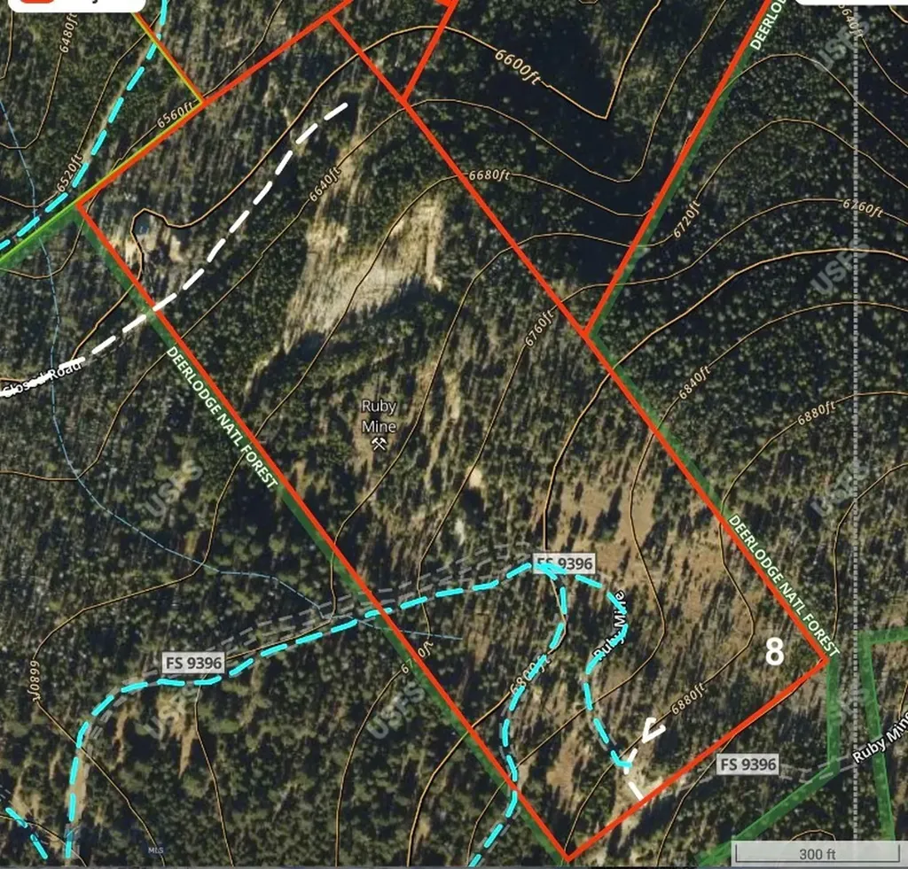 Lot 8 Ruby Mine Road Butte MT 59701