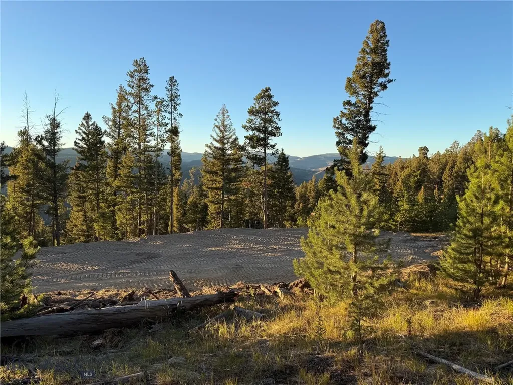 Lot 8 Ruby Mine Road Butte MT 59701