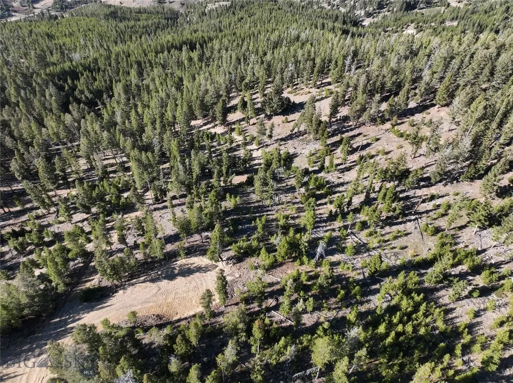 Lot 8 Ruby Mine Road Butte MT 59701
