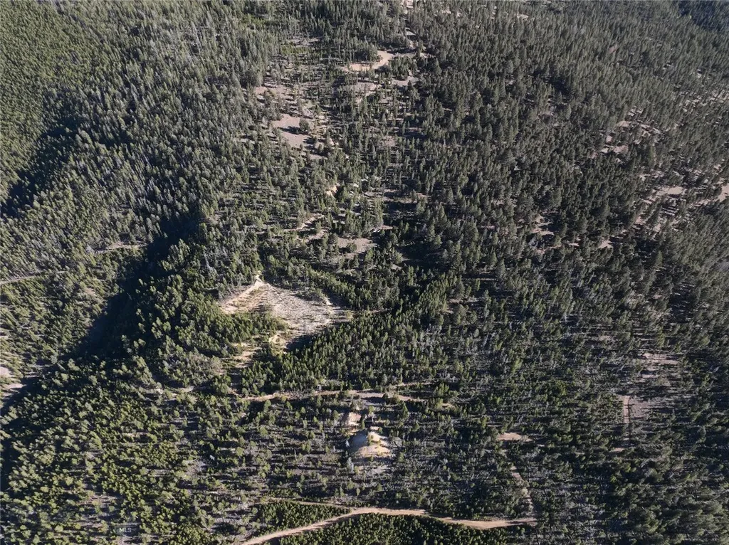 Lot 8 Ruby Mine Road Butte MT 59701