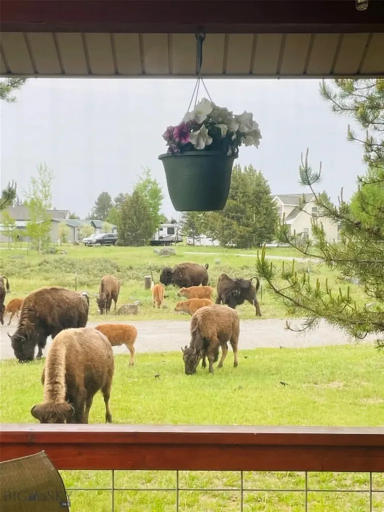 252 Moose Drive West Yellowstone MT 59758