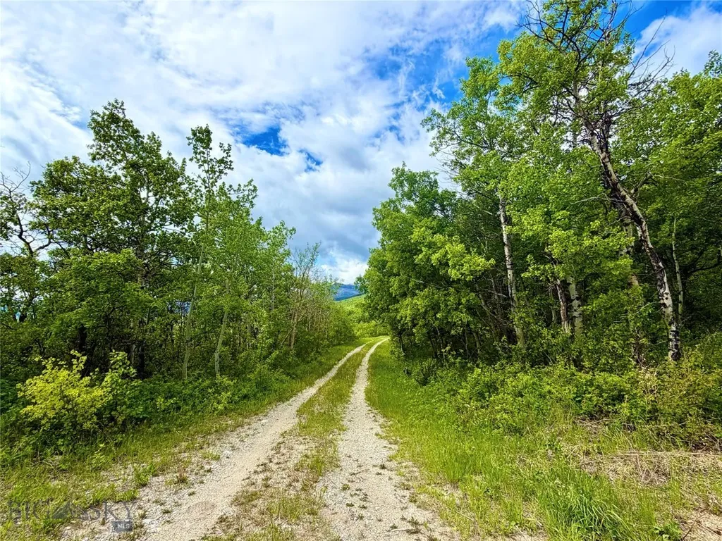 Lot 8 Arlie Tract Babb MT 59411