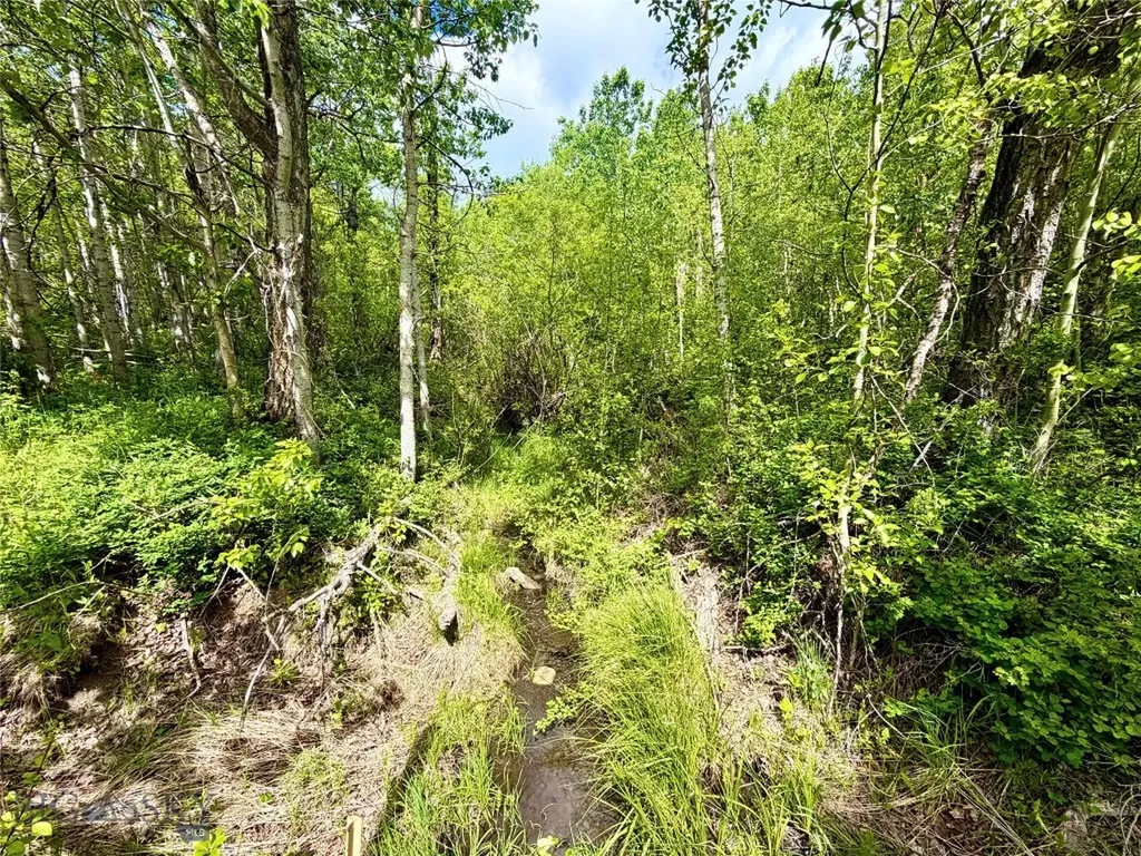 Lot 8 Arlie Tract Babb MT 59411
